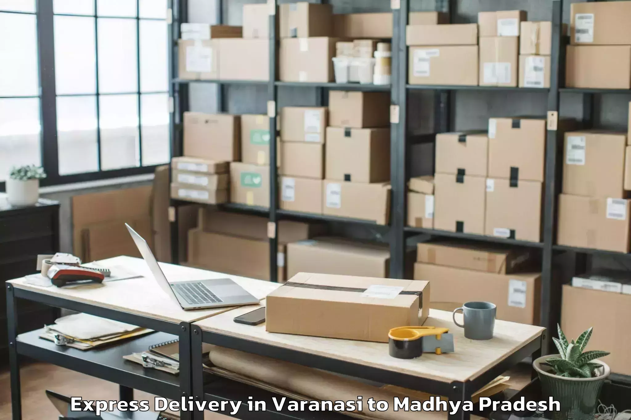 Professional Varanasi to Sanwer Express Delivery